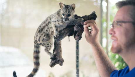 Taxidermy Pretoria